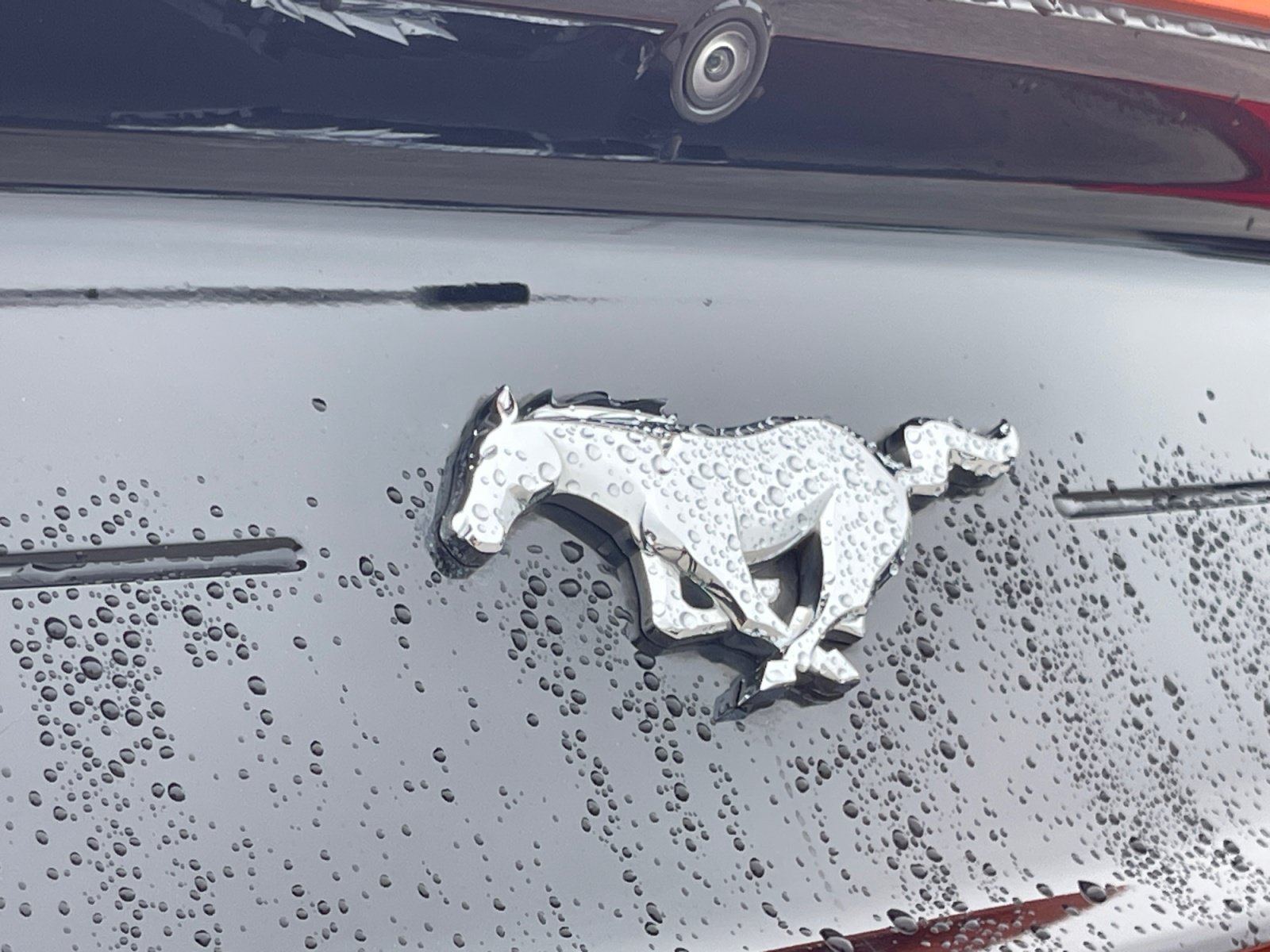 2021 Ford Mustang EcoBoost Premium - Photo 16