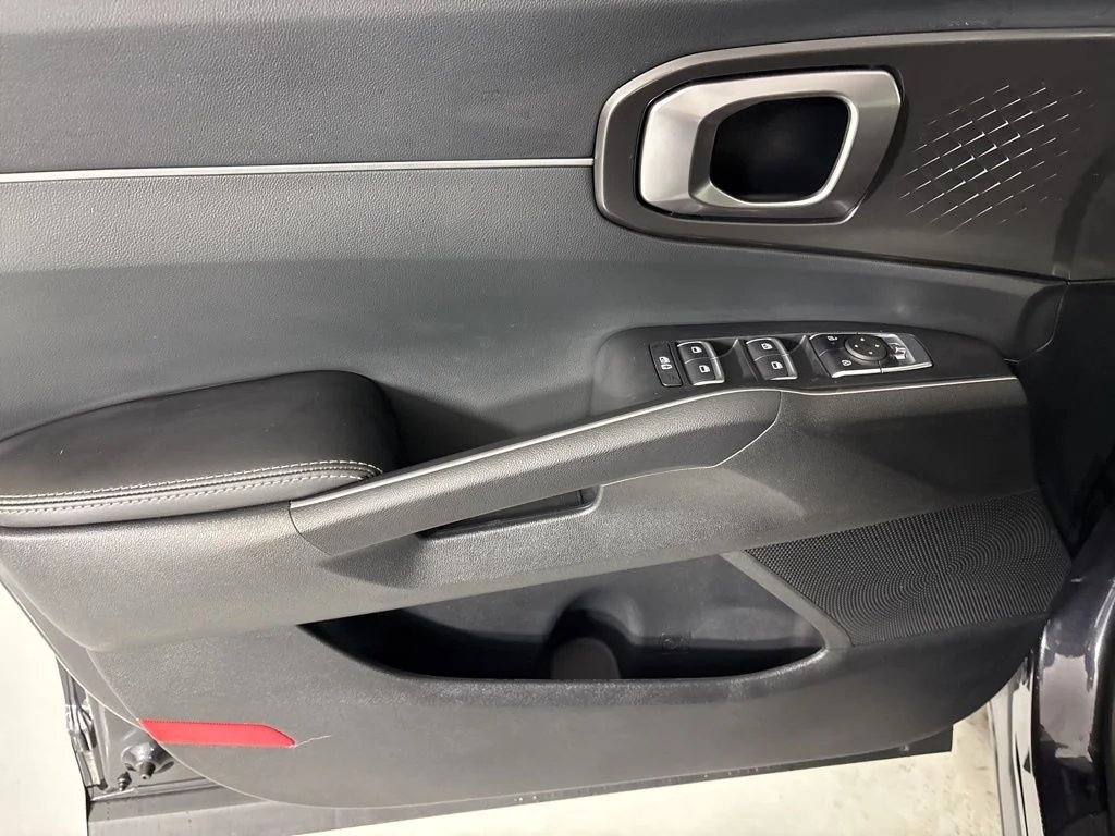 New 2026 Panthera Metal Kia S image 14