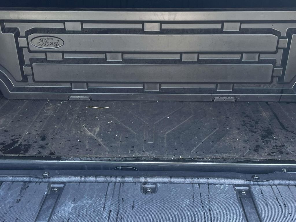 2025 Ford F-150 Raptor - Photo 16