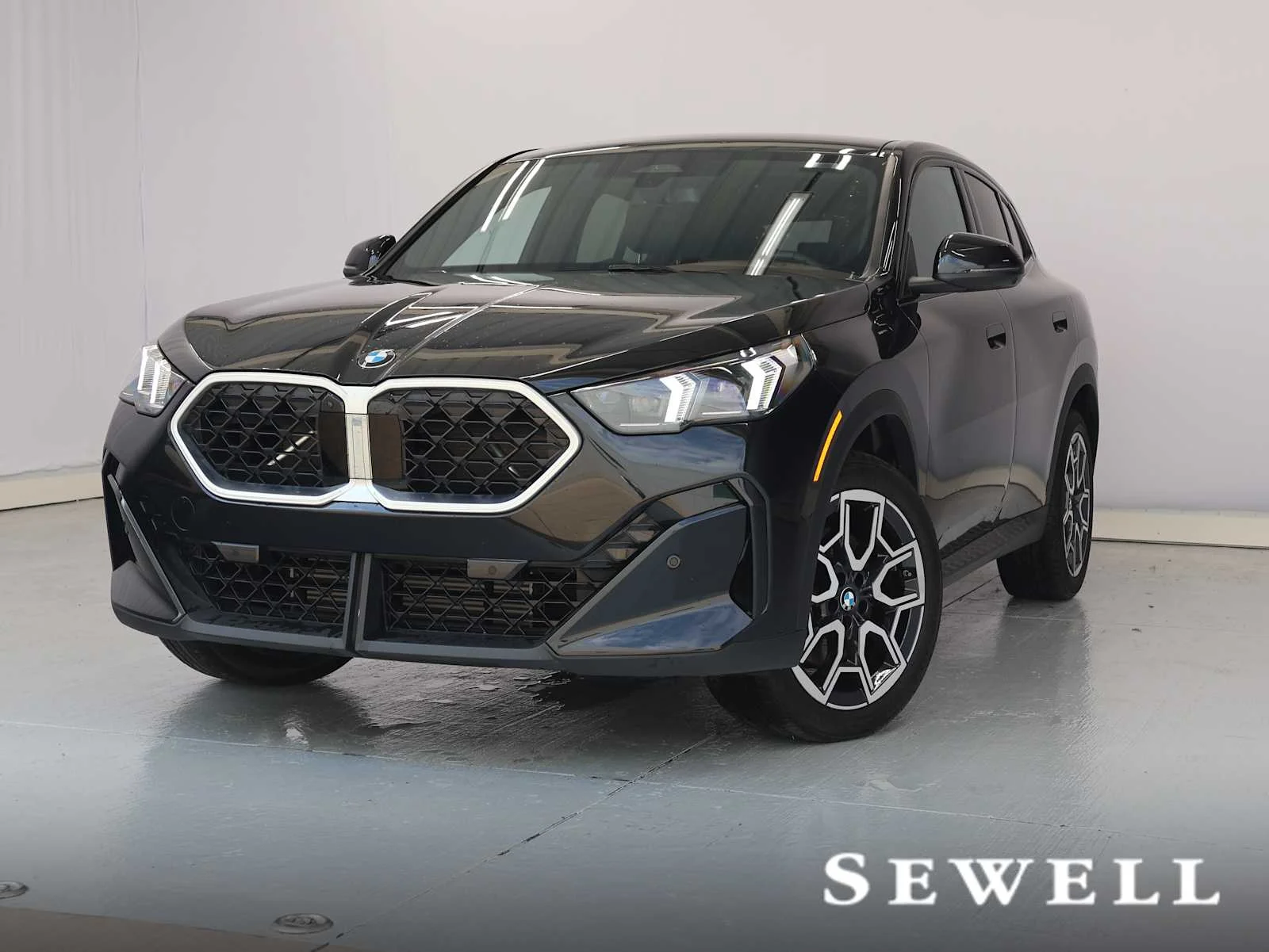 2025 BMW X2 xDrive28i's photo