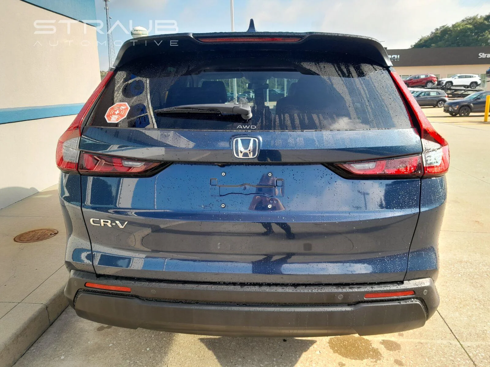 Used 2025 Canyon River Blue Metallic Honda EX-L image 6