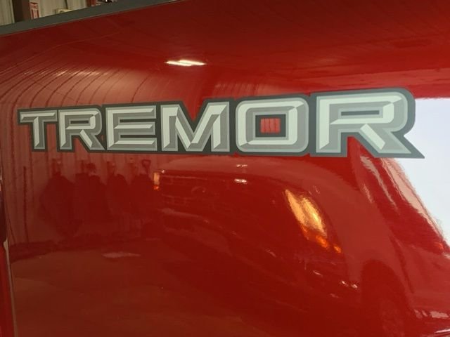 Used 2025 Red Ford Platinum image 31