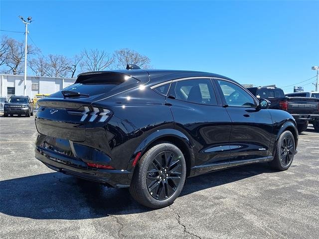 New 2026 Shadow Black Ford Premium image 24