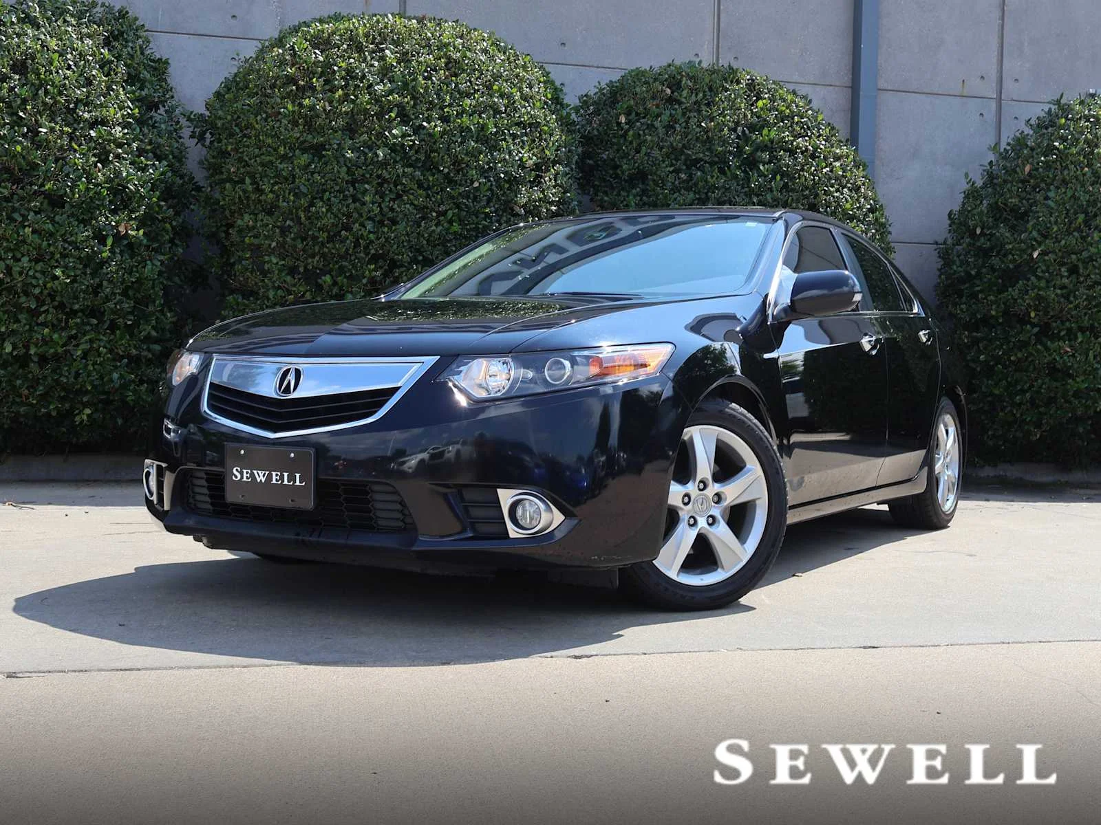 2014 Acura TSX 5AT's photo