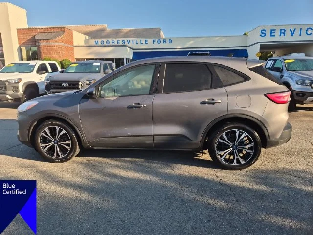 Used 2021 Gray Ford SE image 2