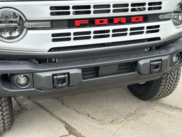 New 2026 Gray Ford Heritage Edition image 3