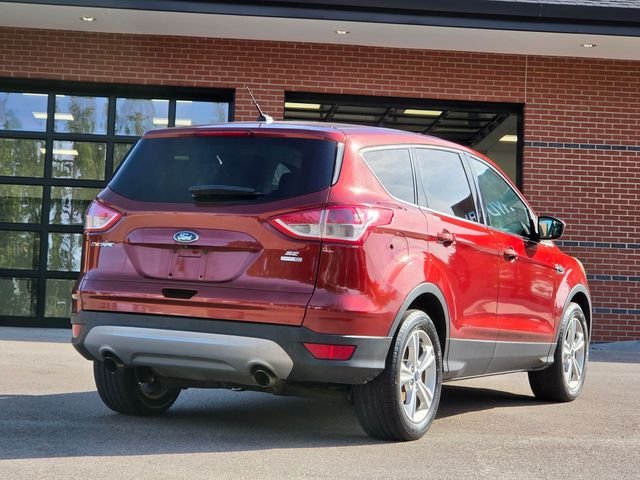 Used 2016 Orange Ford SE image 7