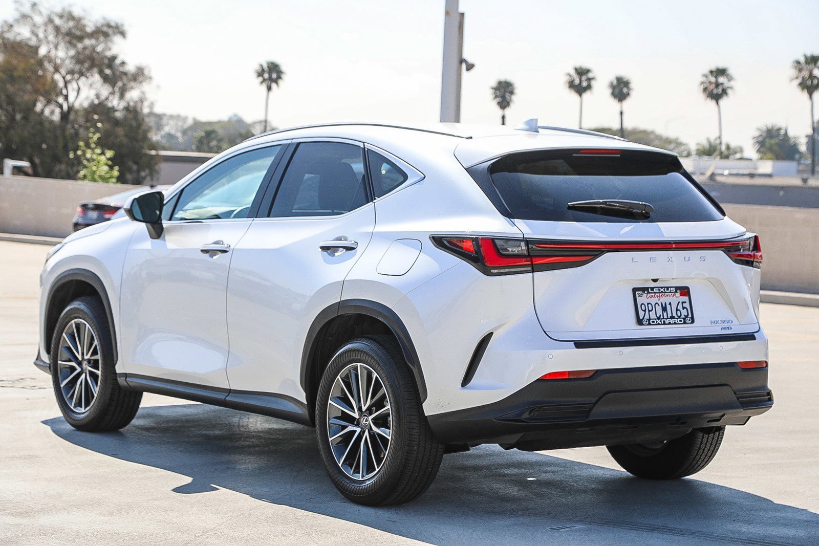2025 Lexus NX 350 - Photo 4