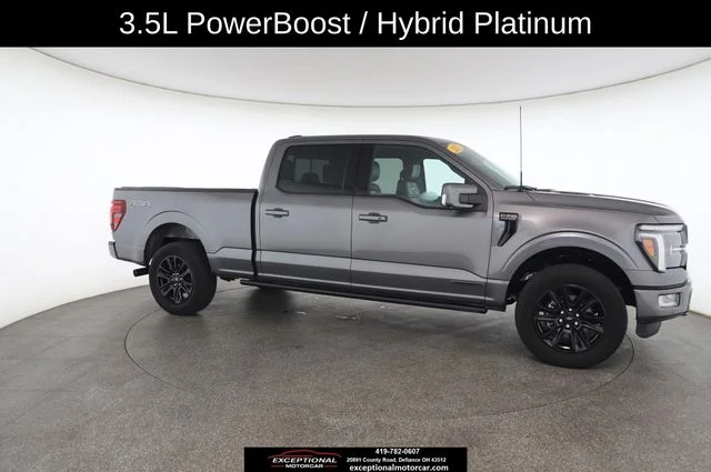 Used 2025 Gray Ford Platinum image 24