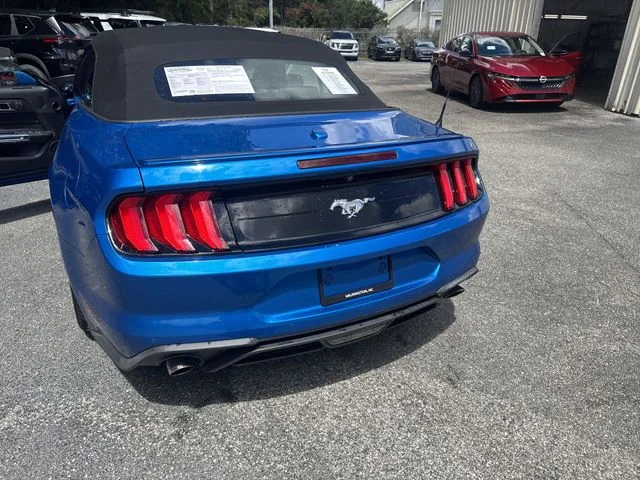 Used 2019 Blue Ford EcoBoost Premium image 34