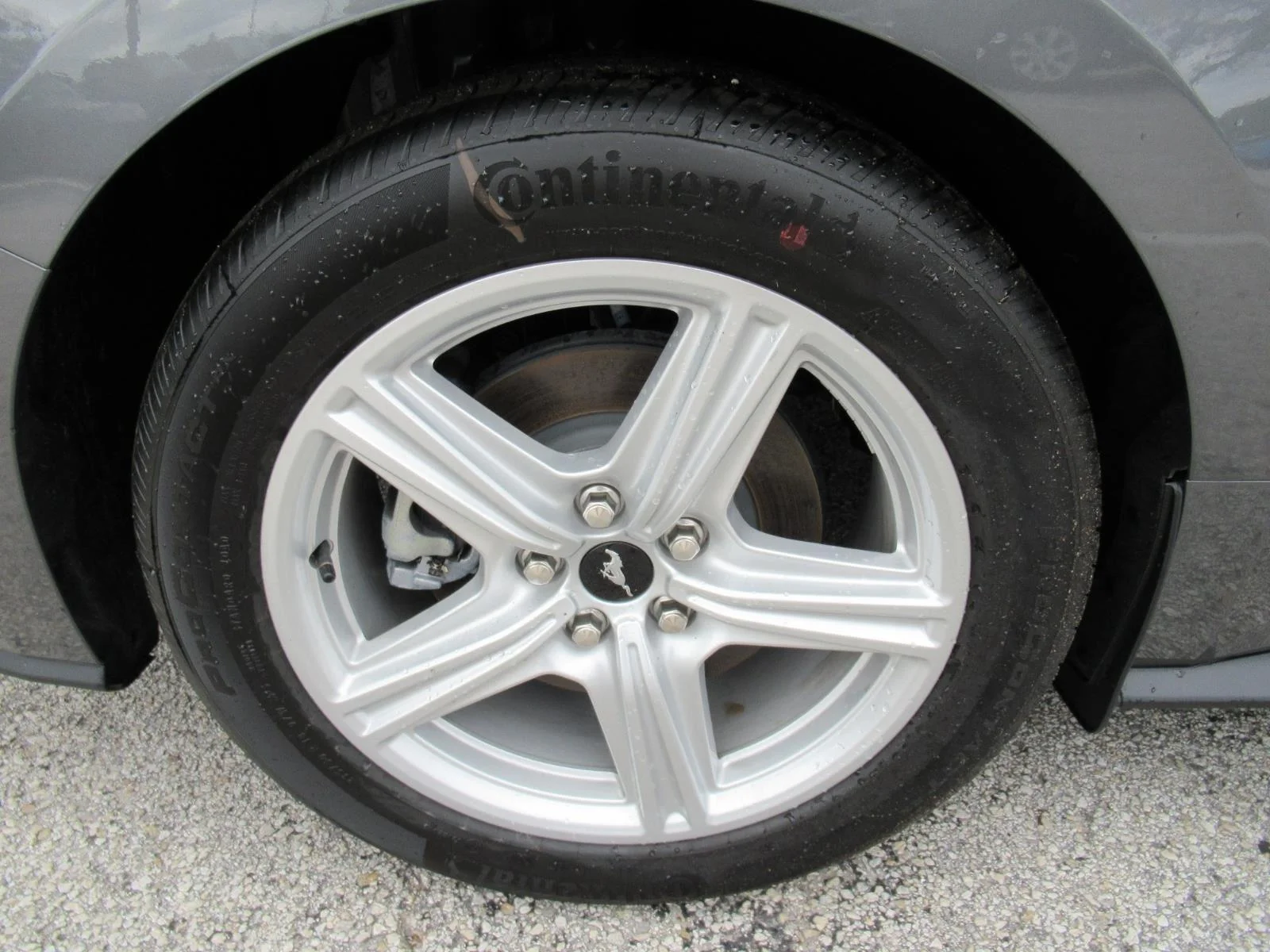 New 2026 Carbonized Gray Metallic Ford EcoBoost® Fastback image 8