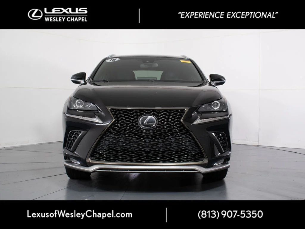 Used 2018 Black Lexus 300 F Sport image 14