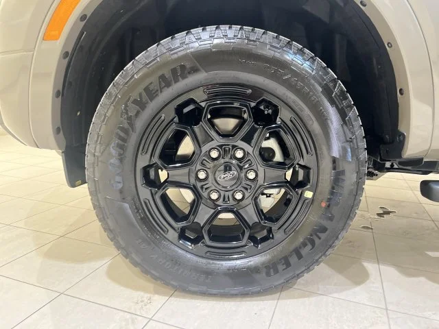 New 2026 Marsh Gray Ford Lariat® image 29