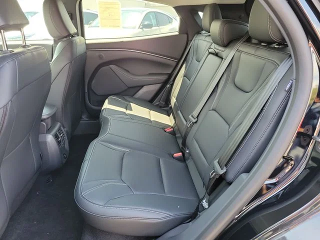 New 2026 Shadow Black Ford Premium image 10