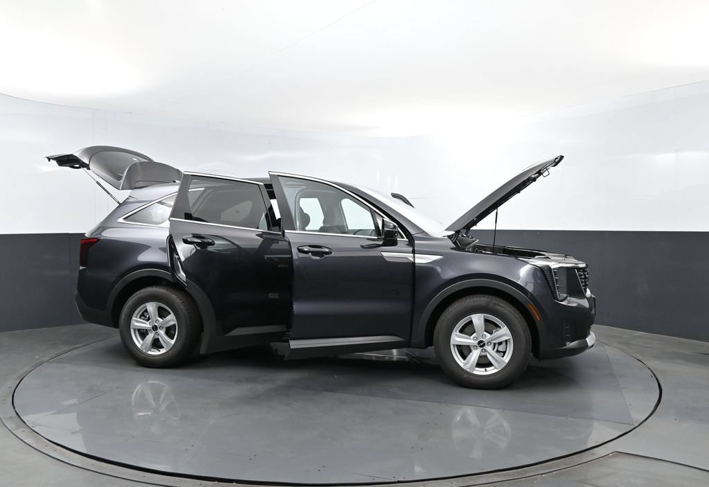 New 2026 Panthera Metal Kia LX image 30