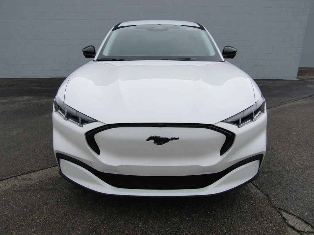 Used 2025 Star White Ford Premium image 3