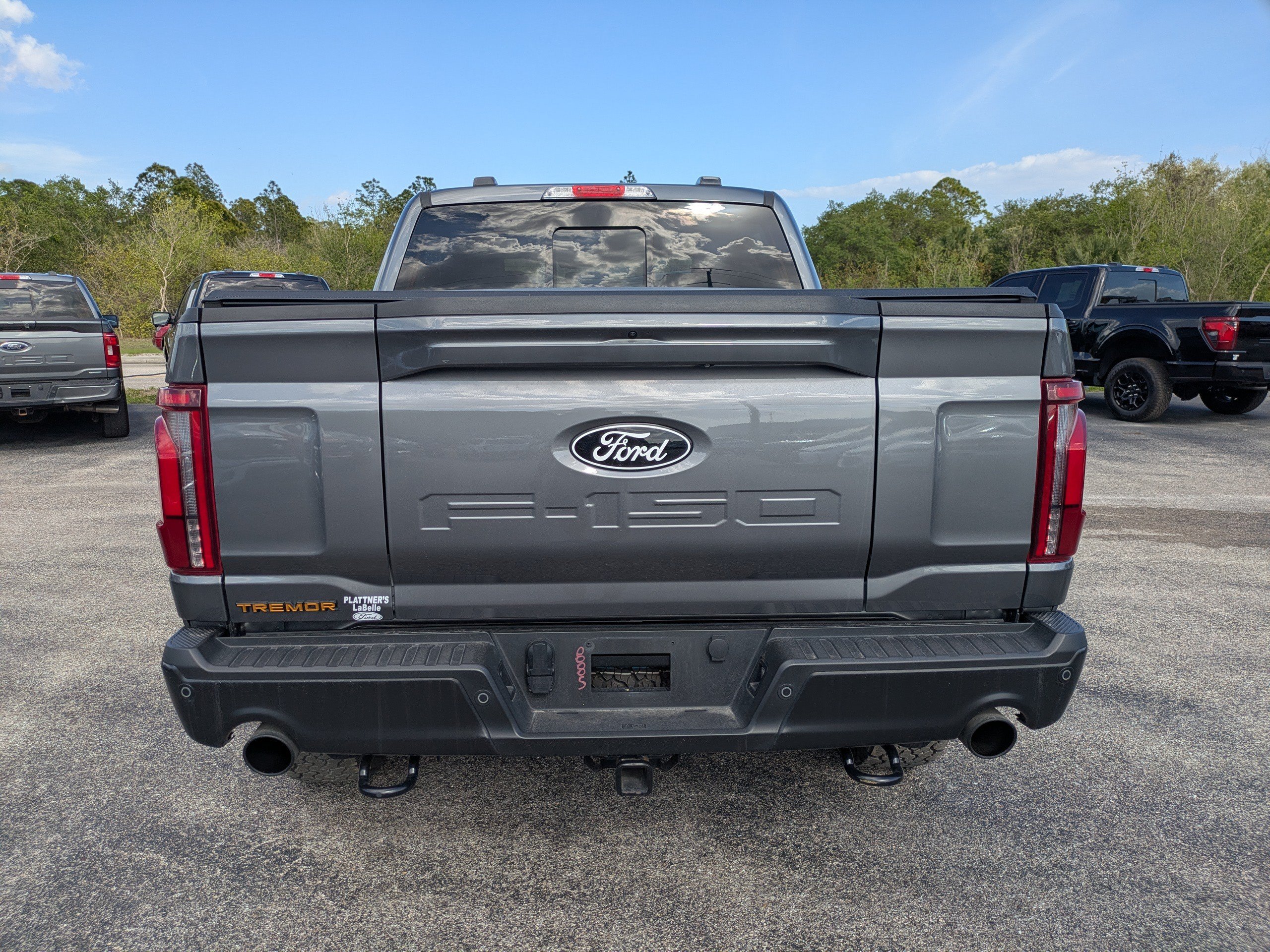 Used 2025  Ford Tremor image 5