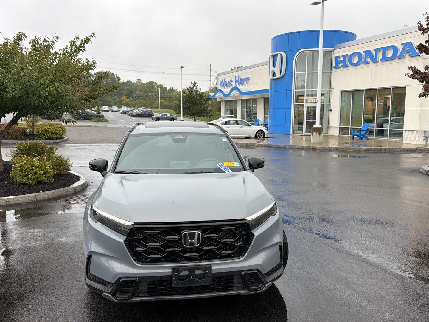 Used 2024 Urban Gray Pearl Honda Sport image 2