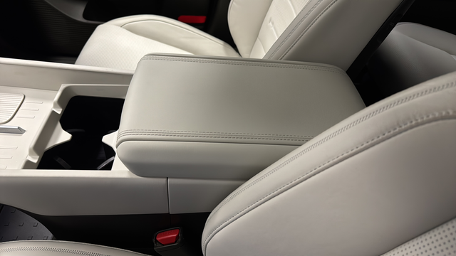Used 2025 Ecotronic Gray Matte Hyundai Calligraphy image 20