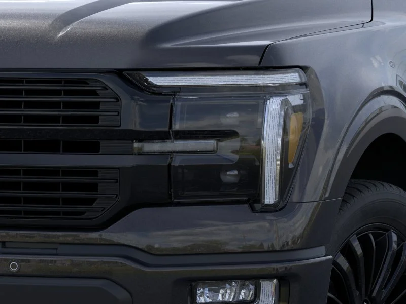 New 2026 Agate Black Ford Platinum image 23