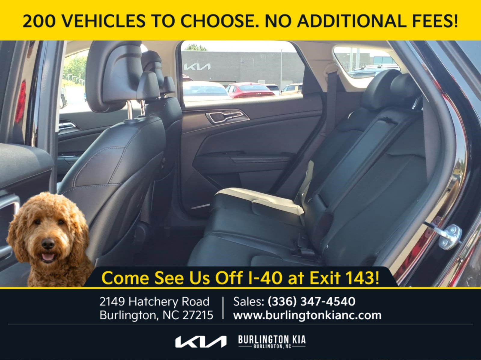 Certified Used 2024 Ebony Black Kia EX image 4