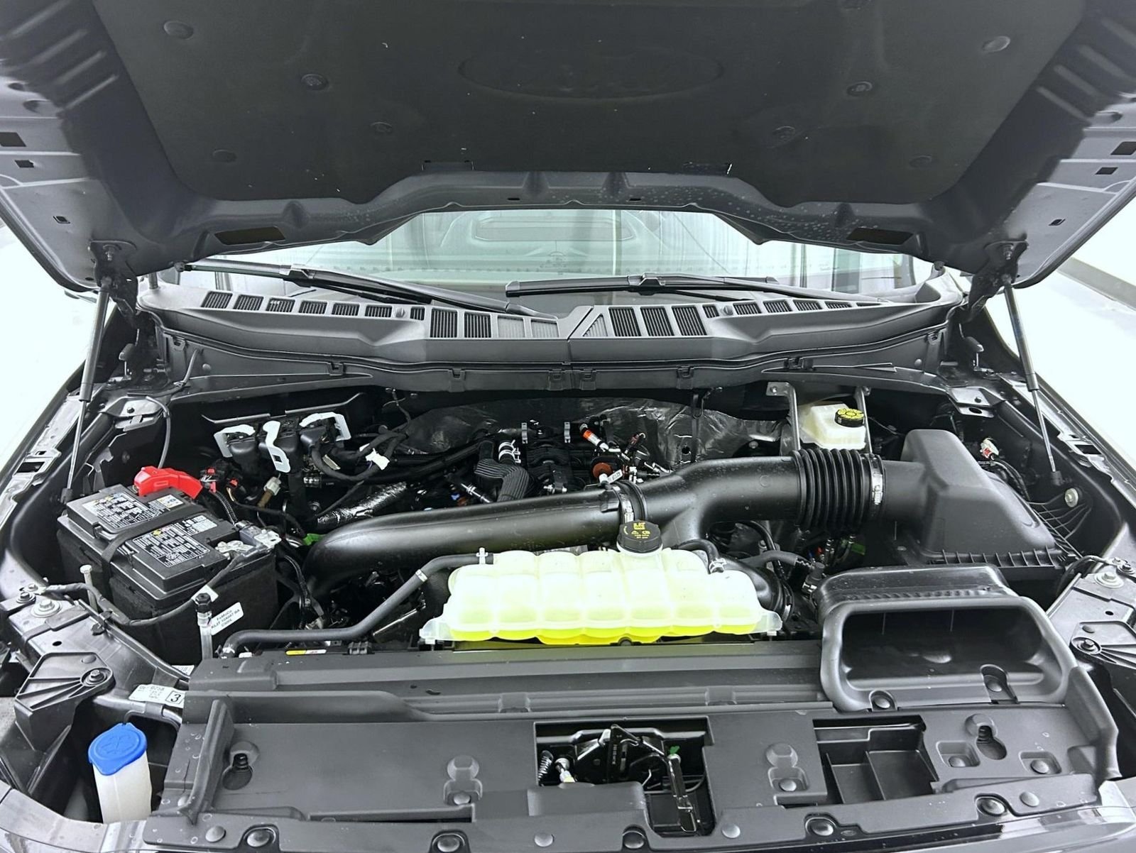 New 2026 Marsh Gray Ford XLT image 24