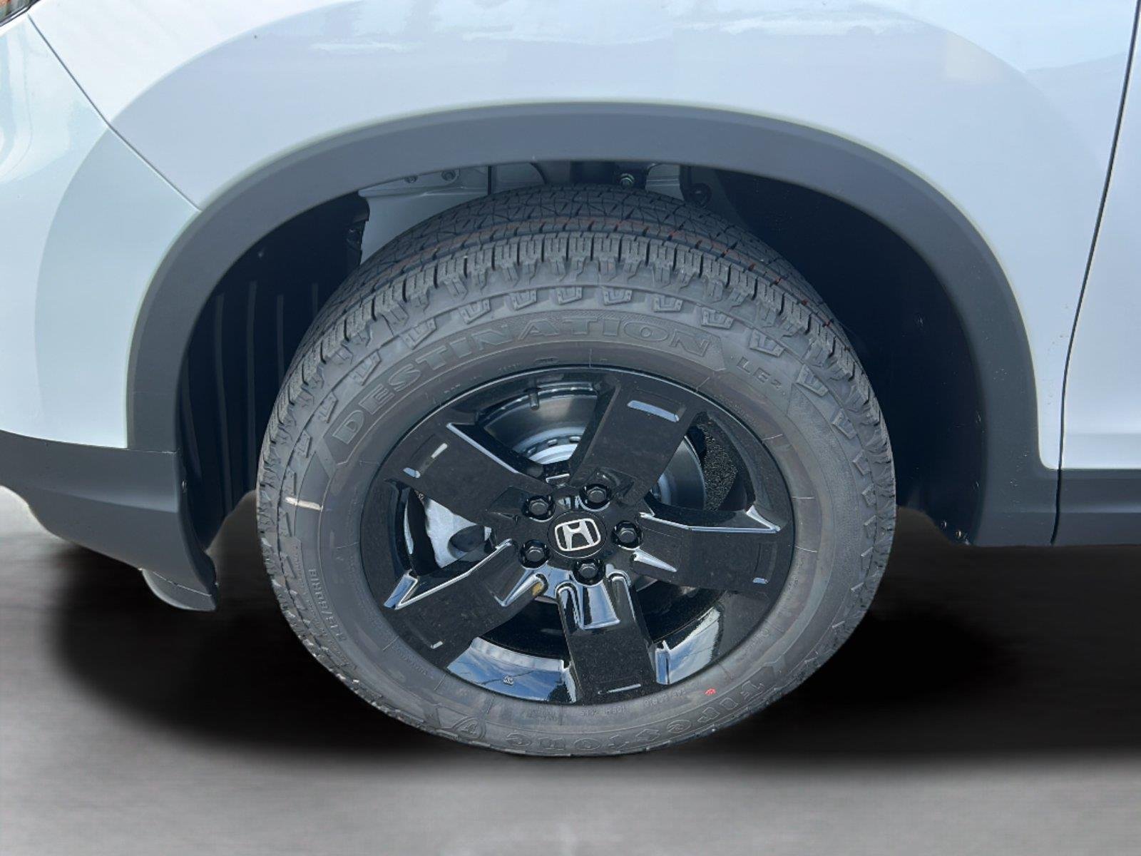 New 2026 Platinum White Pearl Honda Black Edition image 19