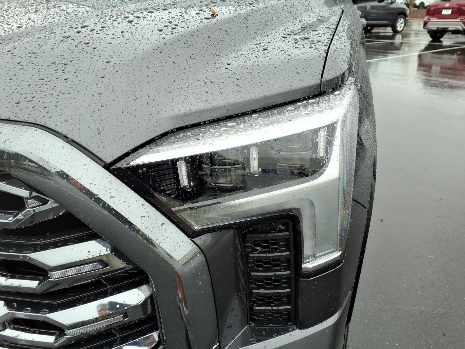 New 2026 Magnetic Gray Metallic Toyota Platinum image 18