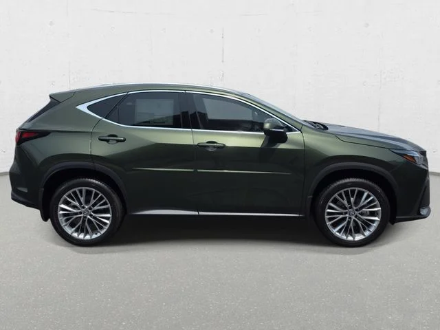 New 2026 Nori Green Pearl Lexus PREMIUM image 4