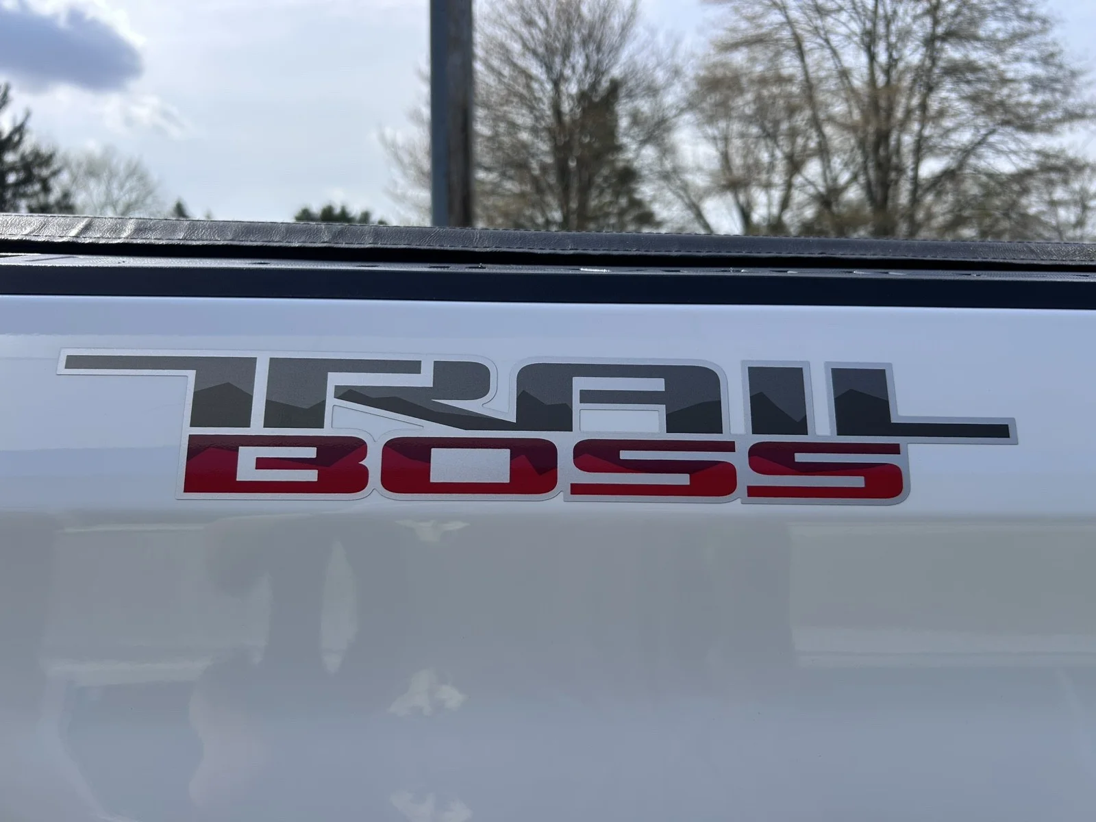 Used 2020 WHITE Chevrolet Custom Trail Boss image 10