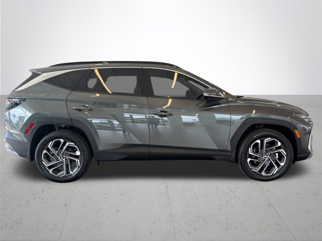 Used 2025 Gray Hyundai Limited image 6