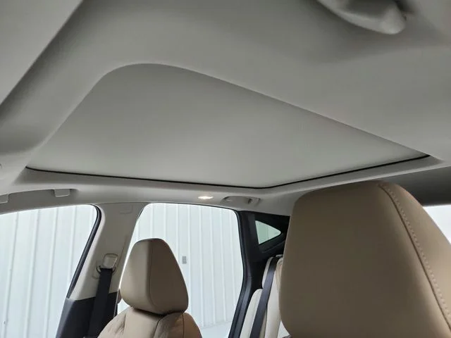 New 2026 White Nissan Platinum image 23