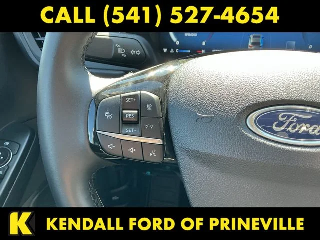 Used 2025 Silver Ford Platinum image 19