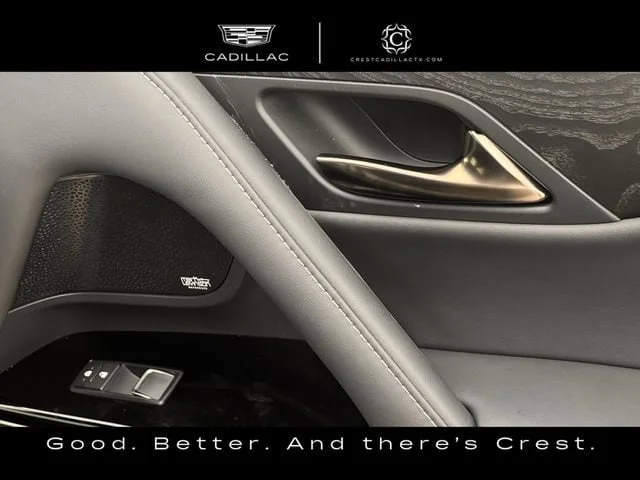 Used 2025 Gray Lexus Luxury image 24