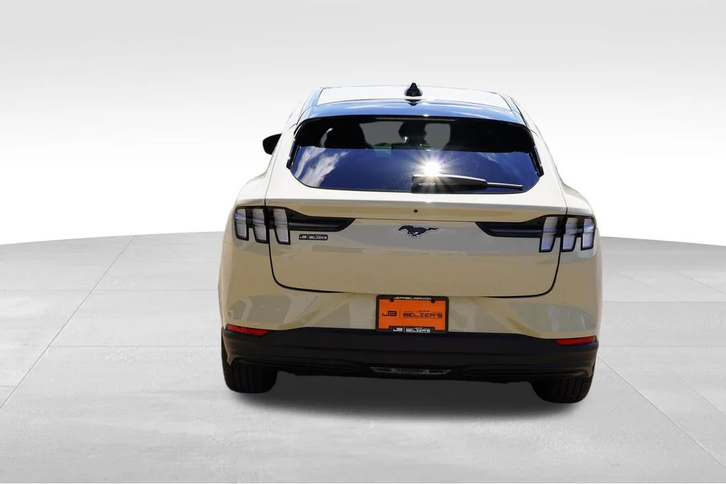 Used 2025 Desert Sand Ford Premium image 6