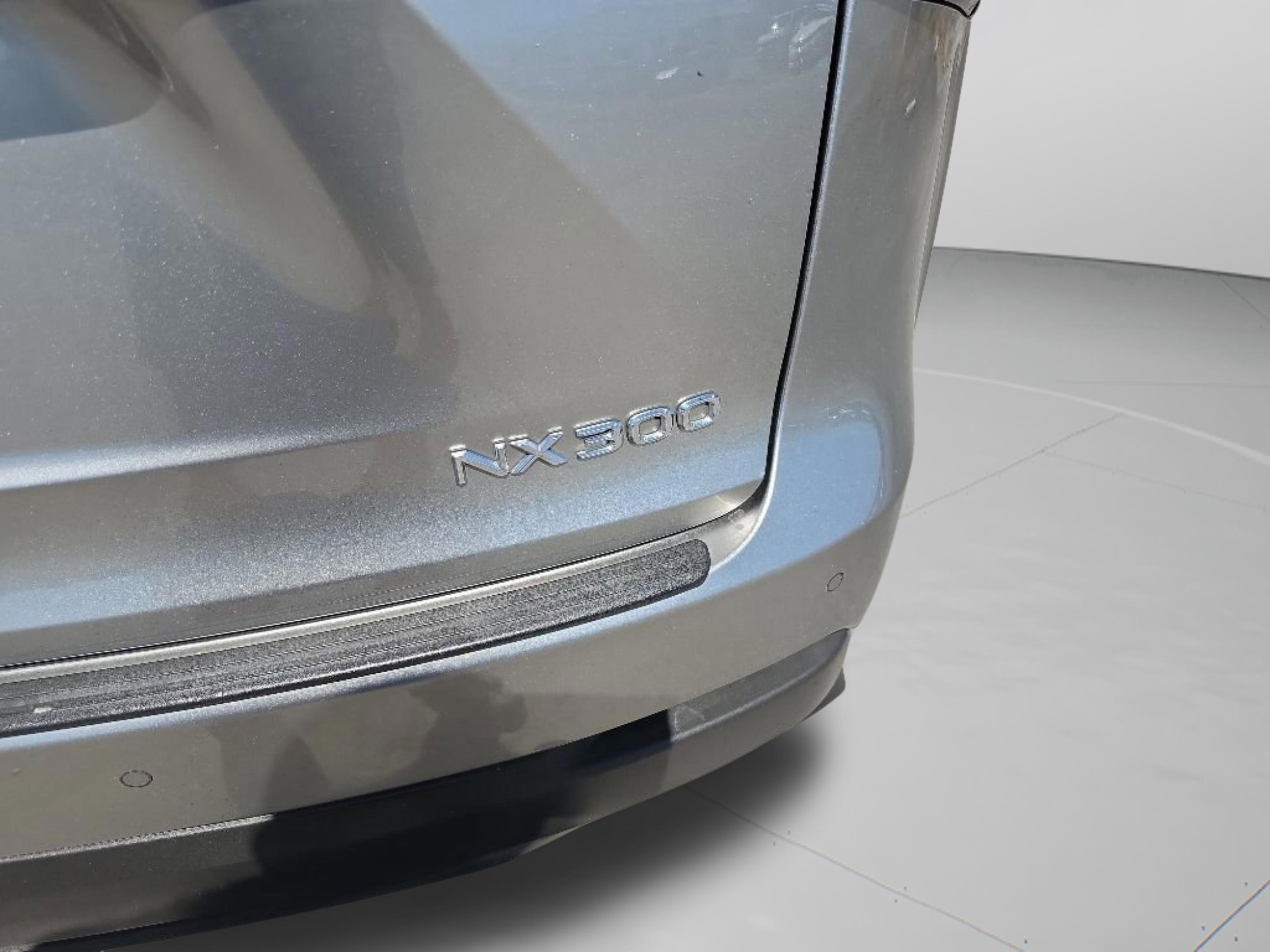 Used 2019 Silver Lexus 300 Base image 36