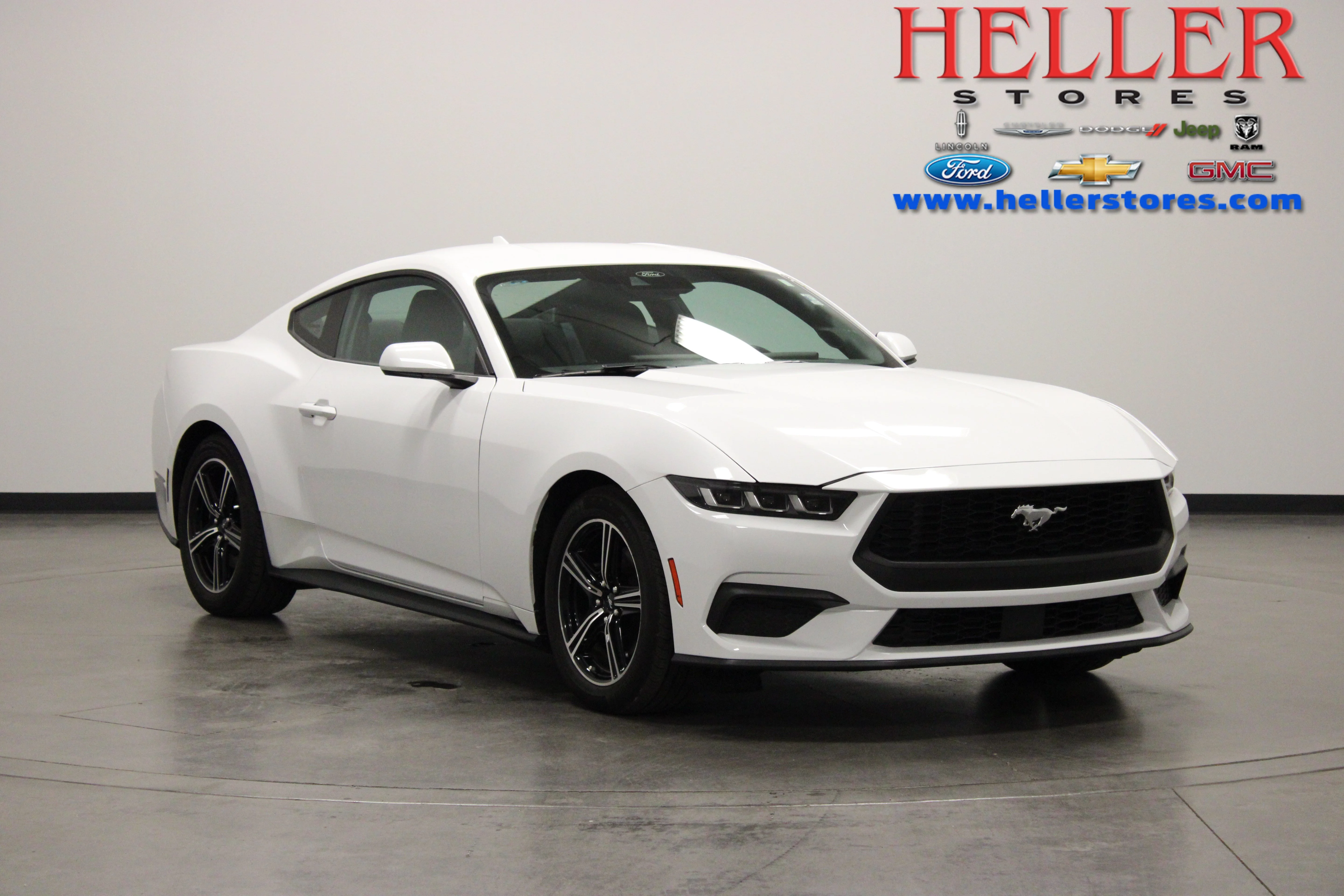Used 2024 Oxford White Ford EcoBoost image 1