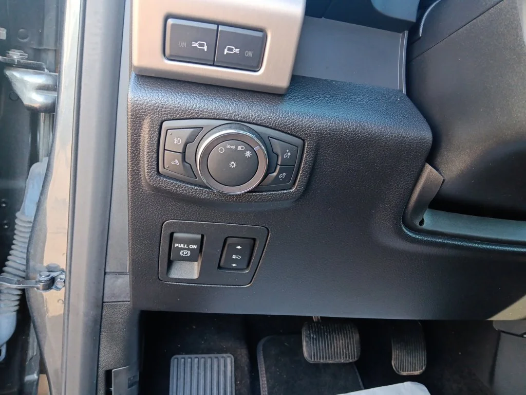 Used 2018 Magnetic Ford Platinum image 15