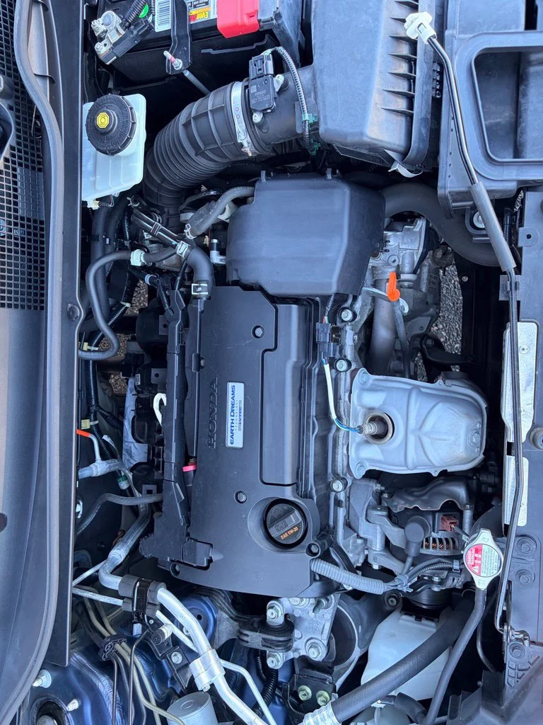 Used 2019 Obsidian Blue Pearl Honda LX image 12