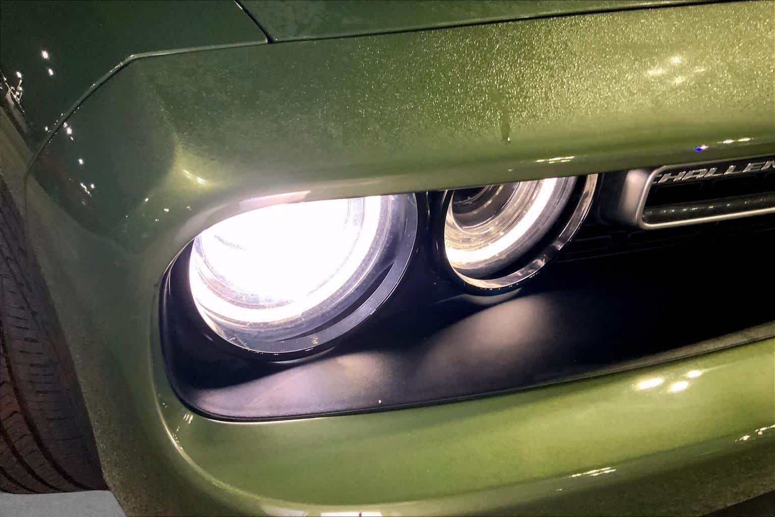 Used 2019 F8 Green Dodge SXT image 23