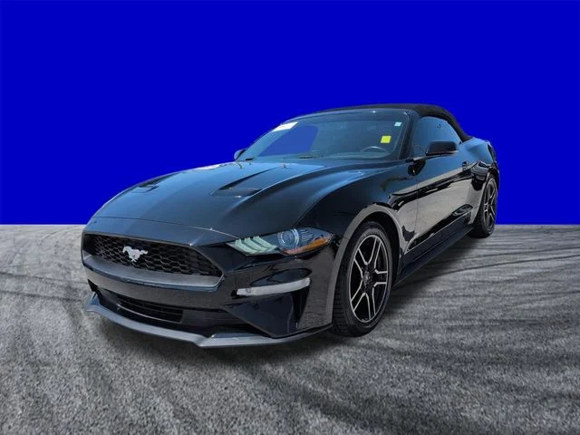 Used 2019 Black Ford EcoBoost Premium image 8
