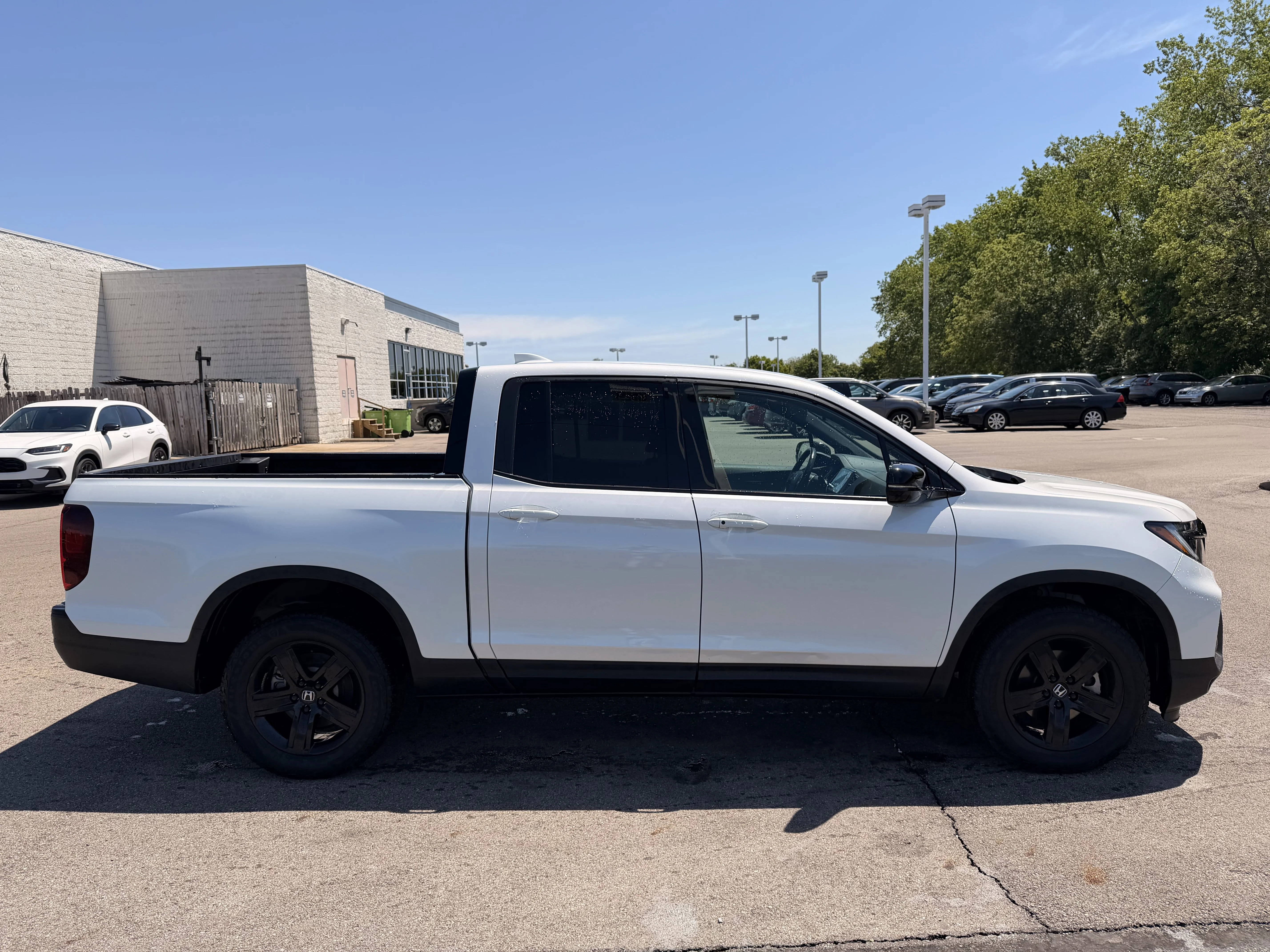 Certified Used 2023 Platinum White Pearl Honda Black Edition image 2