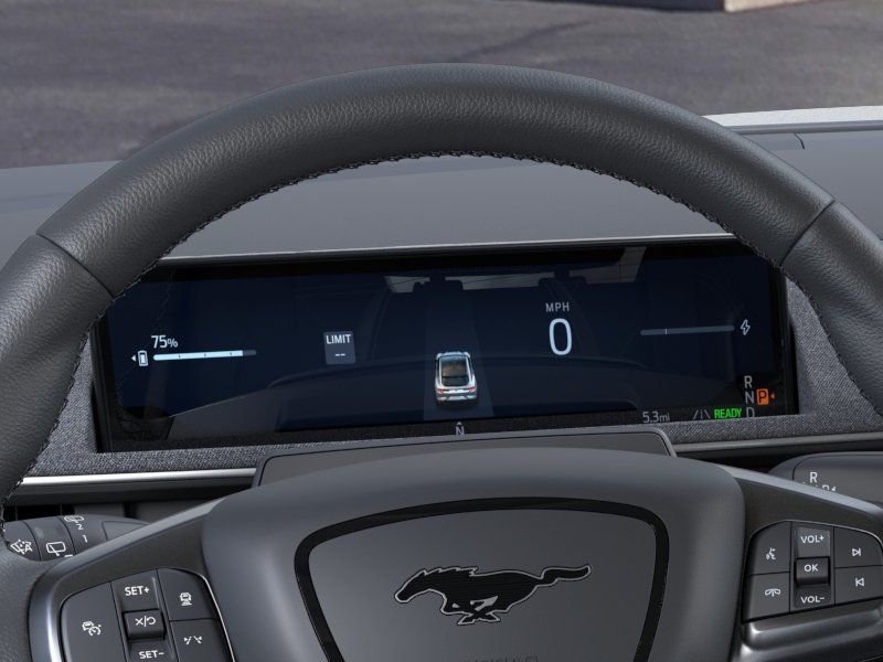 New 2026 Gray Ford Premium image 13
