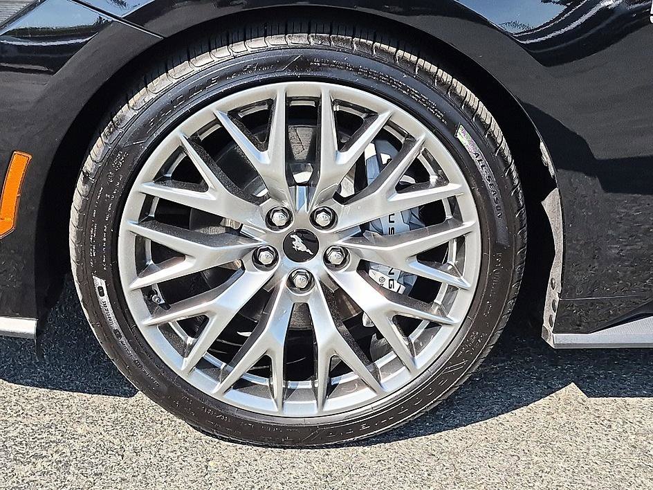 Used 2025 Black Ford GT Premium image 10