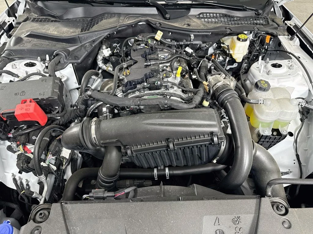 2025 Ford Mustang EcoBoost Fastback - Photo 28
