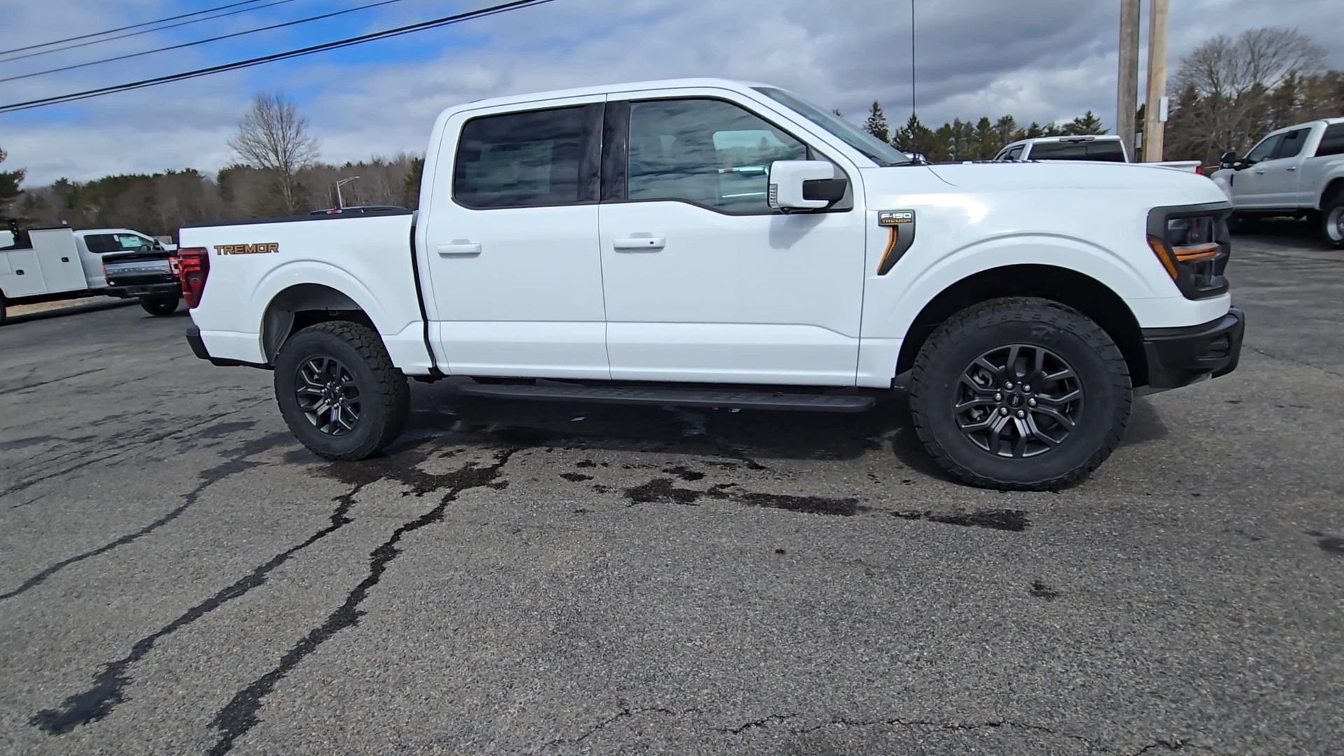 2025 Ford F-150 Tremor - Photo 21