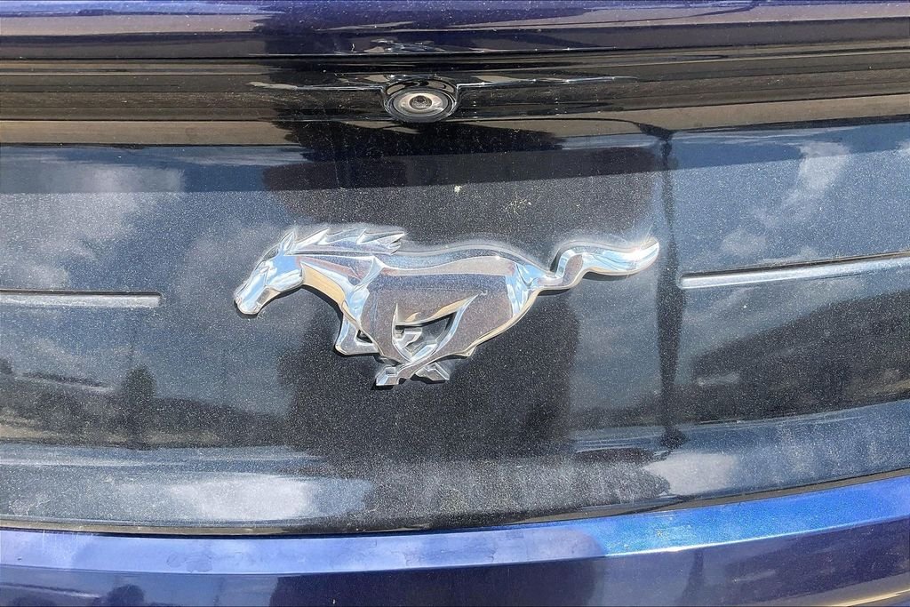Used 2020 Blue Ford EcoBoost image 13