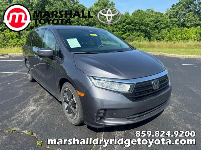 2024 Honda Odyssey Elite's photo