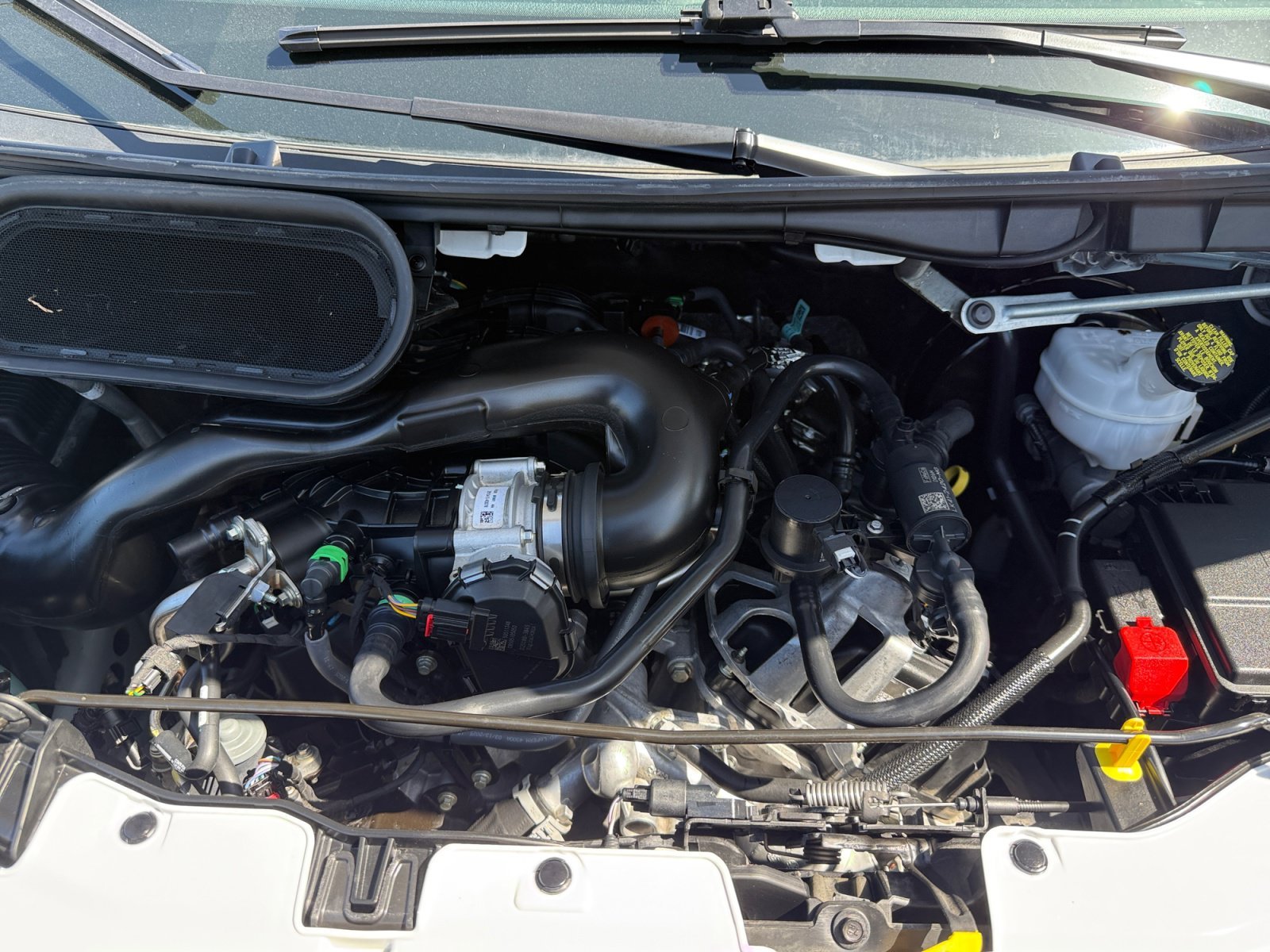 Used 2025 Oxford White Ford Base image 20