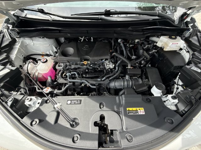 2025 Toyota Sienna XLE - Photo 28